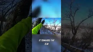 Amazing Tree Cutting Techniques  Expert Tips for Safe and Efficient Tree Removal #gameoftrees