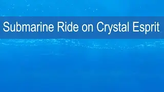 Crystal Cruises' Submarine: Cruise Critic Tries it Out on Esprit