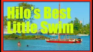 Reed's Bay and Beach Park - (Best FREE Things to Do in Hilo)
