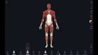 Atlas de Anatomia 3D [Human Anatomy Atlas] ACESSO ILIMITADO