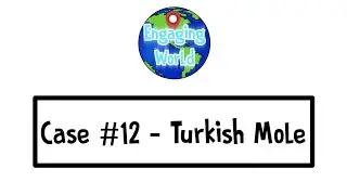 Criminal Case Engaging World - Case #12. - Turkish Mole