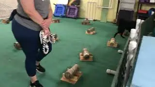Happy Ratters: Okos in Rat Trap, Level 1