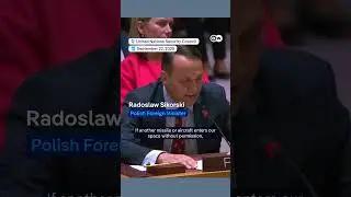 Poland to Russia: 'Don't whine if your planes get shot down' | DW News