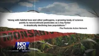 Bee Deaths connected to GMOs and Roundup