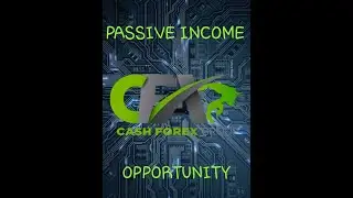 Cash FX Group Overview  (Passive Income Opportunity)