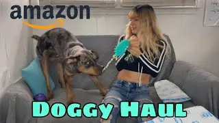 Amazon Dog Haul under $100 !