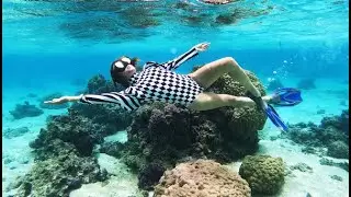 UNDERWATER REEF DIVING in Moorea 4K w/Aydra J Swan (SHINE LIGHTS - ÆYDRA)
