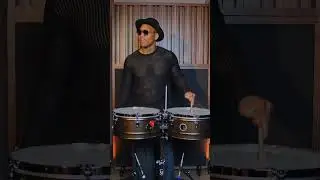 LP Timbales designed for Pedrito Martinez (LP1415-PM)