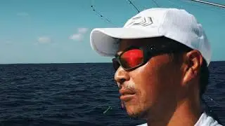 DAIWA Saltiga Spinning and Saltiga LD Reels