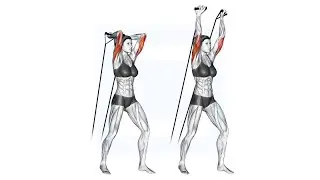 Top Exercises to Ease Arms Pain 🎯 &lrm;@maniac_muscle🎯 &lrm;@WORKOUTBody   &nbsp;