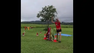 Any Other Animal Agility. December 2023. Ineke Keough 3022/05/22E. Lulu - Kelpie X Staffy