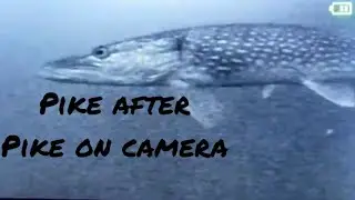 Awesome underwater pike strikes!!! Ice Fishing Jackfish Lake, Alberta.