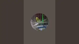 بدأت قناة 