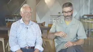 Insects |  Vittorio Costantini