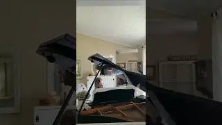 I love when my piano's just been tuned! #shorts #piano #music
