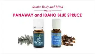 Soothe body and mind with panaway and idaho blue spruce - educational recording from Young Living