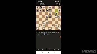 just look at the brilliancy of chess (French defense classical variations)