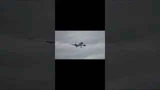 😂 Guess the Plane | Wrong Answers Only ✈️| #shorts #viralshorts
