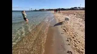 Williamstown Beach Victoria Australia - A Cold Winter Day Chilling On