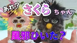 桜ちゃんまた風邪ひいた??