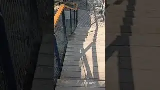 Поездка в лес 🌲💚