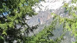 Avalanche - Mount Birkenhead