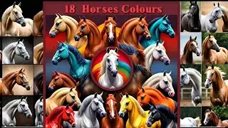 Horse Colours: What's your Favourite color?. #pferde #equinebeauty  #horse #equineheroes