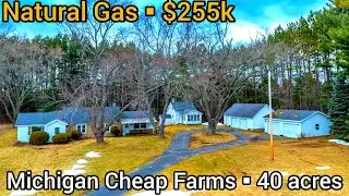 Michigan Cheap Farms For Sale |$255k| Michigan Cheap Property For Sae | Michigan Cheap Land For Sale