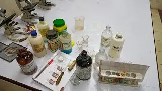Carbohydrate Testing | Testing Sucrose (Disaccharide)Benedict Test | Fehling Test|11th Grade Bio Lab