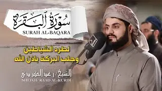الشيخ رعد الكردي سورة البقرة النسخة الأصلية    Sheikh Raad Alkurdi  Surat Al Baqarah
