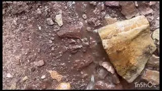Amazing Outdoor Pee Compilation!
