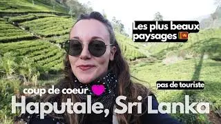 Au cœur des plantations de thé au Sri Lanka c'est incroyable 😍 - rando au Lipton Seat, Haputale