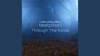 Through The Noise
