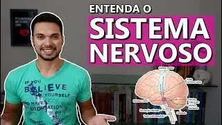ENTENDA O SISTEMA NERVOSO [Neuro 01]