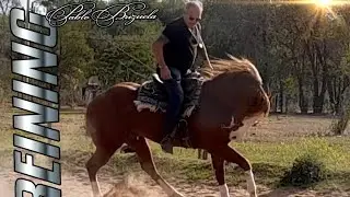 Caballos de Rienda con Pablo Brizuela
