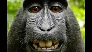 LOUDEST EARRAPE **VOLUME WARNING**