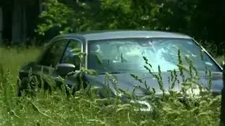 Overgrown grass turns intersection into traffic hazard on Detroit's east side