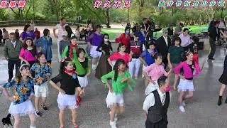 2026/01/18龍井竹坑登山步道 歡樂星期天 #龍樂團  週日14:00～17:00 假日休閒廣場演奏 #黑馬閃亮舞群 