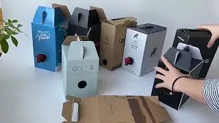 Bag in box packaging