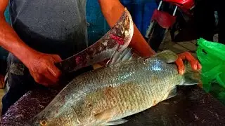 Cutting White Snapper  Fish Cutting Skills - Poenya Channel