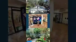 BAMM Day 2: Butterfly World Highlights