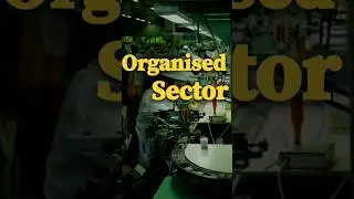 Organised sector | Sectors of Indian Economy |#class10 #economics #viralshorts
