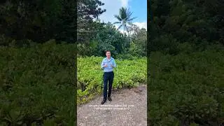 Hawaii Homeowner's Exemption Explained by Ben Fieman