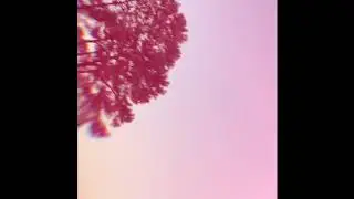 DVB QUIS~Acting Funny