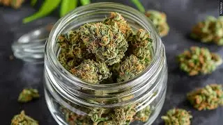 Watertown could create new rules for cannabis shops