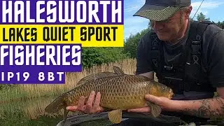 Catching Carp on a short Pole, #JamesAtkinsFishing #fjukabait #vidiq