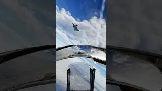 Это на самом деле ужасает #DCS Dogfight