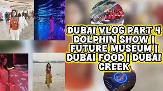 Dubai Vlog | Dubai Creek | Dolphin Show | Future Museum | Dubai Food - All Costs and Details