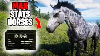 Get MAX STATS Horses For FREE in RDR2