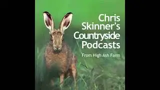 Episode 2.52 - Urban Arias and Flocking Festivities